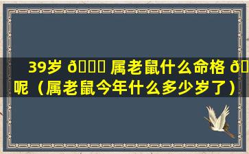 39岁 🐝 属老鼠什么命格 🐯 呢（属老鼠今年什么多少岁了）